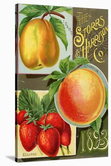 Seed Catalogues: Storrs and Harrison, Co. Painesville, OH, 1893-null-Stretched Canvas