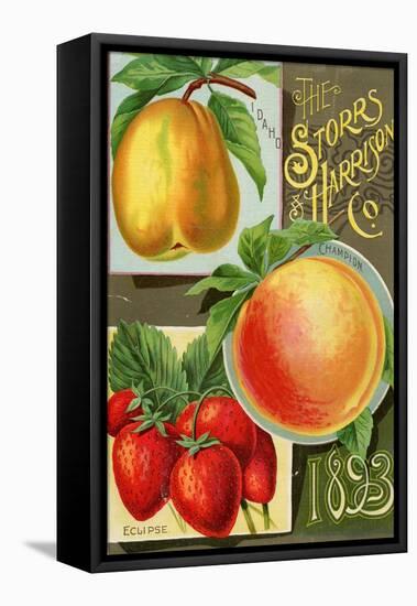 Seed Catalogues: Storrs and Harrison, Co. Painesville, OH, 1893-null-Framed Stretched Canvas