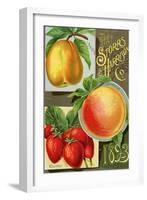 Seed Catalogues: Storrs and Harrison, Co. Painesville, OH, 1893-null-Framed Art Print