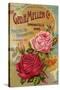 Seed Catalogues: The Geo. H. Mellen Co. Condensed Catalogue of Special Offers-null-Stretched Canvas