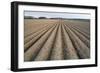 Seed Furrows in Ploughed Field, German/Dutch Border Near Venlo, North Rhine-Westphalia, Germany-null-Framed Photographic Print