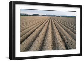 Seed Furrows in Ploughed Field, German/Dutch Border Near Venlo, North Rhine-Westphalia, Germany-null-Framed Photographic Print