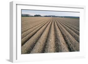 Seed Furrows in Ploughed Field, German/Dutch Border Near Venlo, North Rhine-Westphalia, Germany-null-Framed Photographic Print