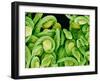 Seed Heads of an Epiphyllum Cactus-Micro Discovery-Framed Photographic Print