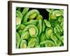 Seed Heads of an Epiphyllum Cactus-Micro Discovery-Framed Photographic Print