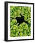 Seed Heads of Epiphyllum Cactus-Micro Discovery-Framed Photographic Print