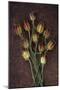 Seed Heads-Den Reader-Mounted Premium Photographic Print