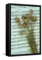 Seed Heads-Den Reader-Framed Stretched Canvas