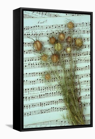 Seed Heads-Den Reader-Framed Stretched Canvas