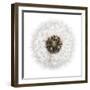 Seed Journey II-James Guilliam-Framed Giclee Print