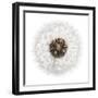 Seed Journey II-James Guilliam-Framed Giclee Print