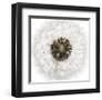 Seed Journey II-James Guilliam-Framed Giclee Print