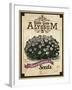 Seed Packet - Alyssum-The Saturday Evening Post-Framed Giclee Print