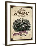 Seed Packet - Alyssum-The Saturday Evening Post-Framed Giclee Print