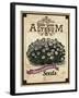 Seed Packet - Alyssum-The Saturday Evening Post-Framed Giclee Print