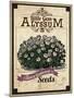 Seed Packet - Alyssum-The Saturday Evening Post-Mounted Giclee Print