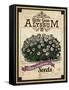 Seed Packet - Alyssum-The Saturday Evening Post-Framed Stretched Canvas