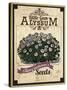 Seed Packet - Alyssum-The Saturday Evening Post-Stretched Canvas