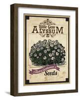 Seed Packet - Alyssum-The Saturday Evening Post-Framed Giclee Print