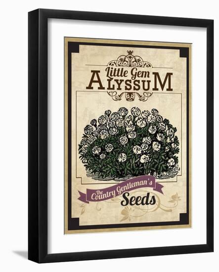 Seed Packet - Alyssum-The Saturday Evening Post-Framed Giclee Print