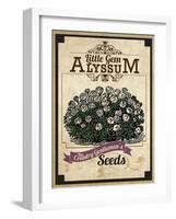 Seed Packet - Alyssum-The Saturday Evening Post-Framed Giclee Print