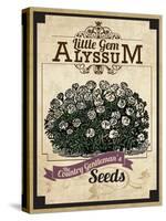 Seed Packet - Alyssum-The Saturday Evening Post-Stretched Canvas