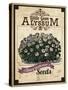 Seed Packet - Alyssum-The Saturday Evening Post-Stretched Canvas