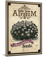 Seed Packet - Alyssum-The Saturday Evening Post-Mounted Giclee Print