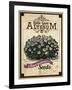 Seed Packet - Alyssum-The Saturday Evening Post-Framed Giclee Print