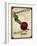 Seed Packet - Beet-The Saturday Evening Post-Framed Giclee Print