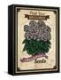 Seed Packet - Begonia-The Saturday Evening Post-Framed Stretched Canvas