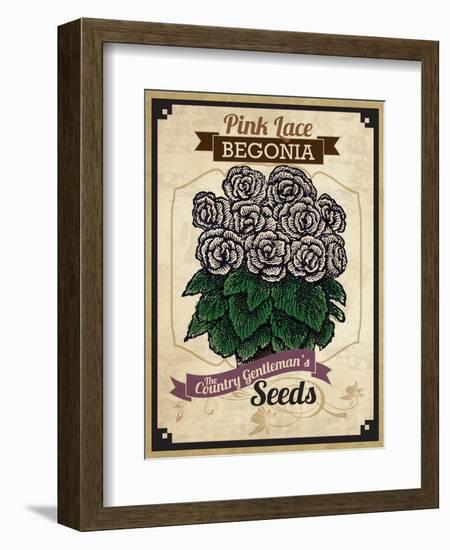 Seed Packet - Begonia-The Saturday Evening Post-Framed Giclee Print