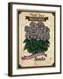 Seed Packet - Begonia-The Saturday Evening Post-Framed Giclee Print