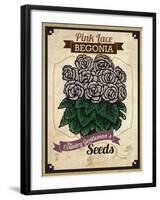 Seed Packet - Begonia-The Saturday Evening Post-Framed Giclee Print