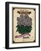 Seed Packet - Begonia-The Saturday Evening Post-Framed Giclee Print