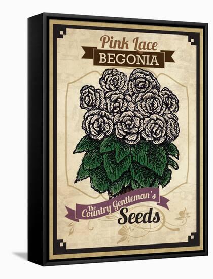 Seed Packet - Begonia-The Saturday Evening Post-Framed Stretched Canvas