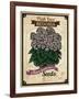 Seed Packet - Begonia-The Saturday Evening Post-Framed Giclee Print