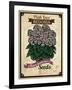 Seed Packet - Begonia-The Saturday Evening Post-Framed Giclee Print