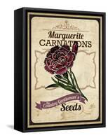 Seed Packet - Carnation-The Saturday Evening Post-Framed Stretched Canvas