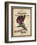 Seed Packet - Carnation-The Saturday Evening Post-Framed Premium Giclee Print