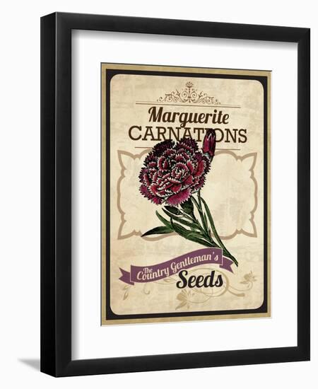 Seed Packet - Carnation-The Saturday Evening Post-Framed Premium Giclee Print