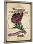Seed Packet - Carnation-The Saturday Evening Post-Mounted Premium Giclee Print