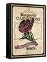 Seed Packet - Carnation-The Saturday Evening Post-Framed Stretched Canvas