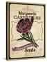 Seed Packet - Carnation-The Saturday Evening Post-Stretched Canvas