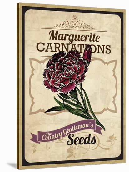 Seed Packet - Carnation-The Saturday Evening Post-Stretched Canvas