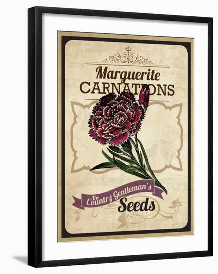 Seed Packet - Carnation-The Saturday Evening Post-Framed Giclee Print