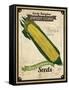 Seed Packet - Corn-The Saturday Evening Post-Framed Stretched Canvas