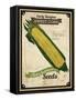 Seed Packet - Corn-The Saturday Evening Post-Framed Stretched Canvas