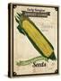 Seed Packet - Corn-The Saturday Evening Post-Stretched Canvas