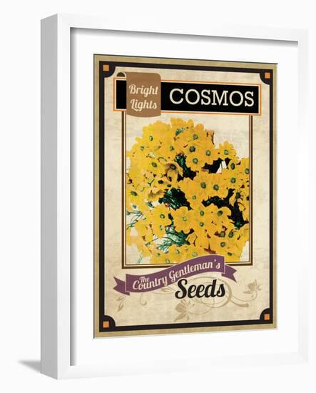 Seed Packet - Cosmos-The Saturday Evening Post-Framed Giclee Print